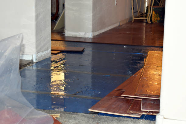 Professional Flood Cleanup technician working in Yoder, CO